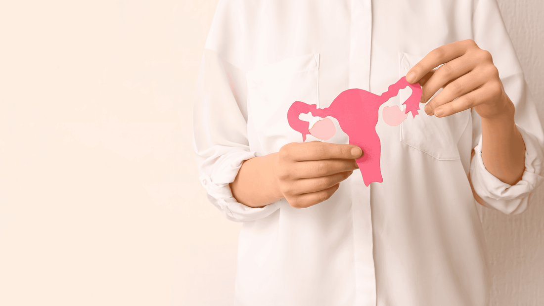 Female Cycle Support of Pre Menstrual Support: Wat past bij jou?